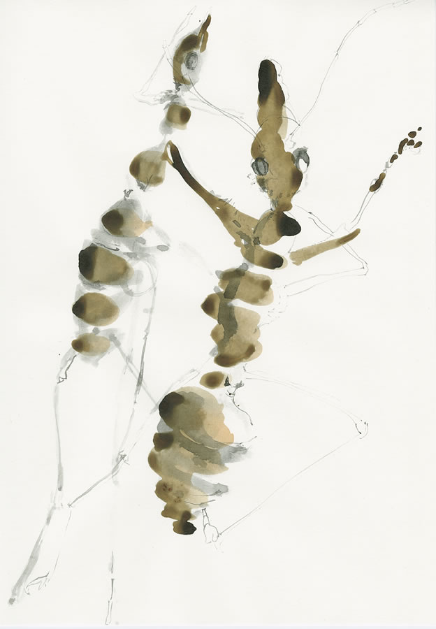 Blatt 14