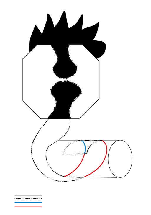 46.jpg