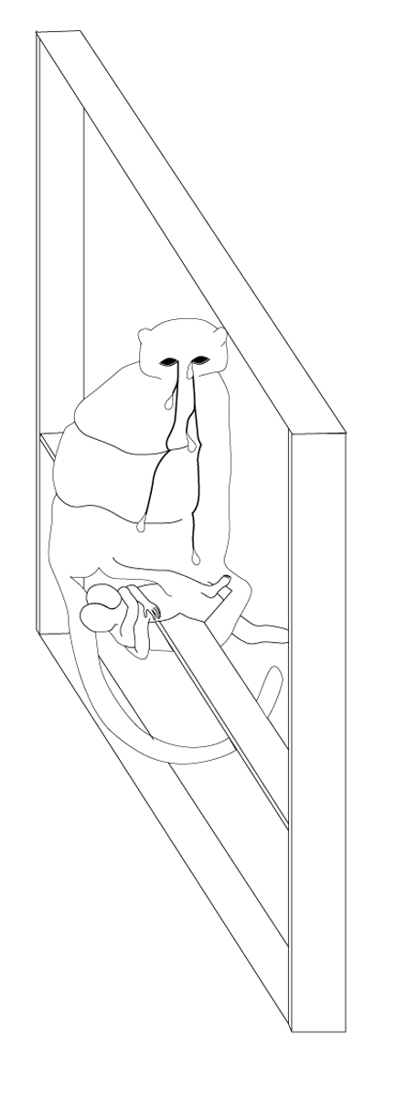 51.jpg