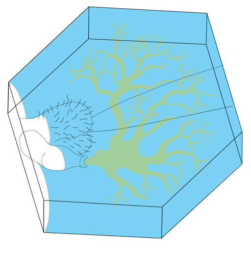 62b.jpg