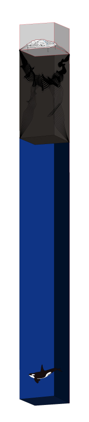 75.jpg