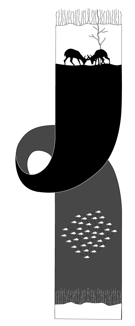 118.jpg