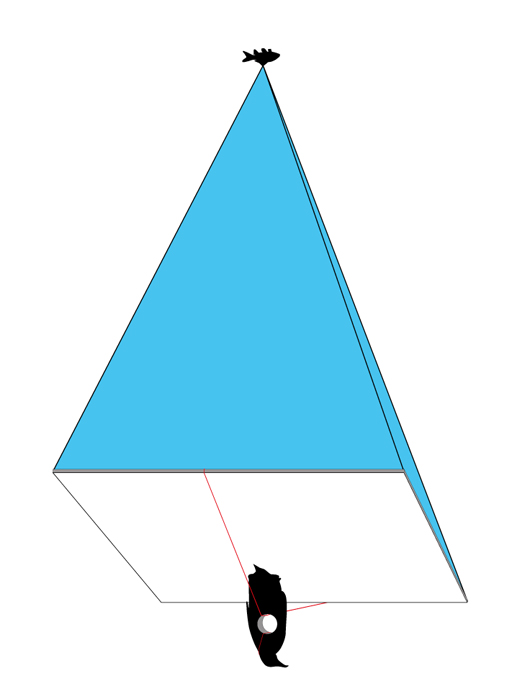 135.jpg