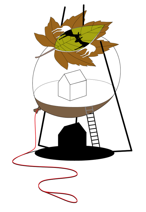 144.jpg