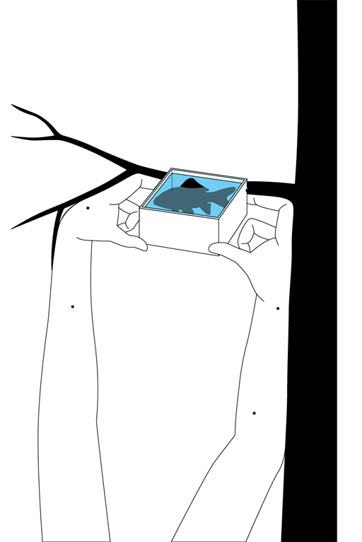 146.jpg
