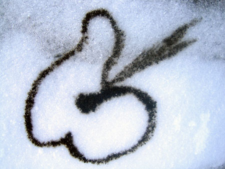 schneeduse.jpg