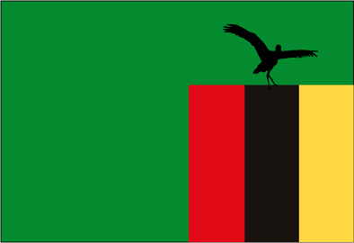 172.jpg