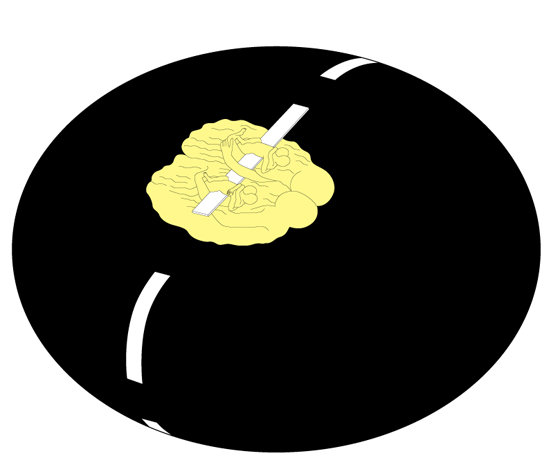 173.jpg