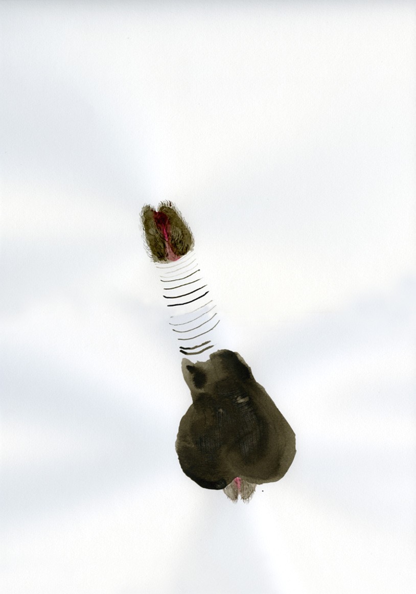 peni-jpg.jpg