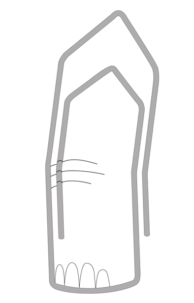 185.jpg