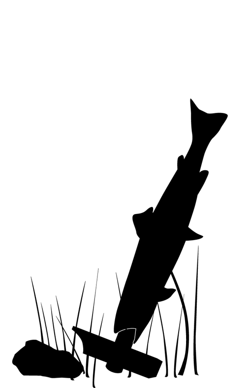 193.jpg