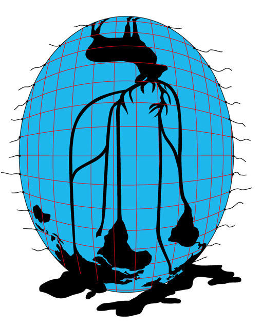 196.jpg