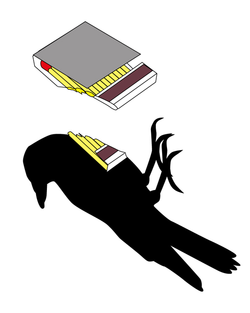 197.jpg