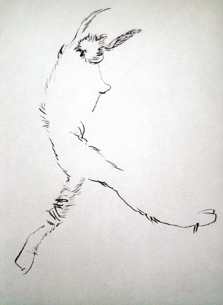 faun-hupfend.jpg