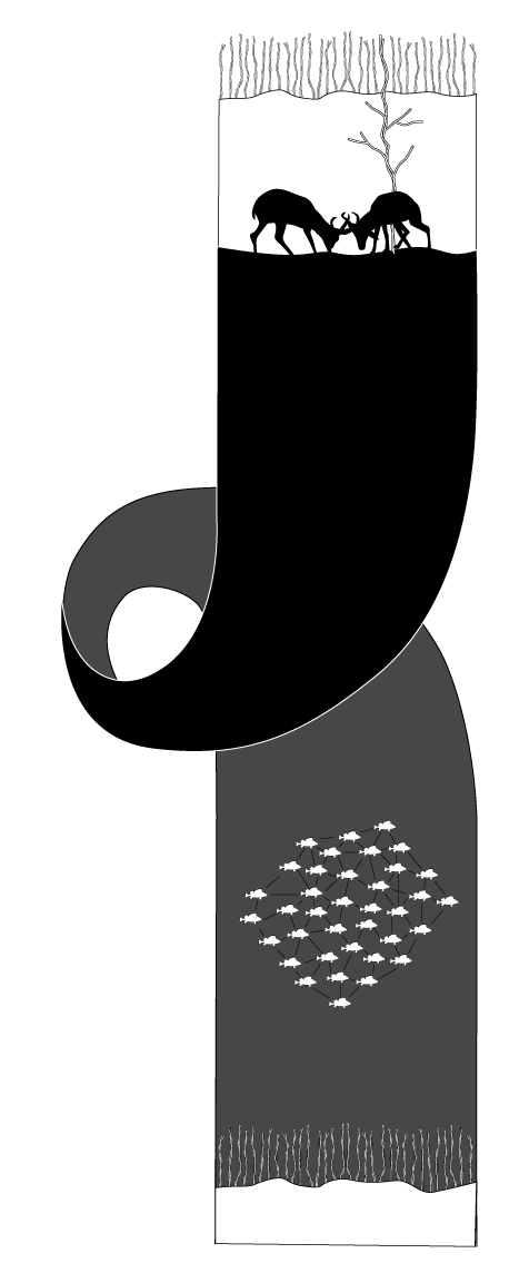 206.jpg