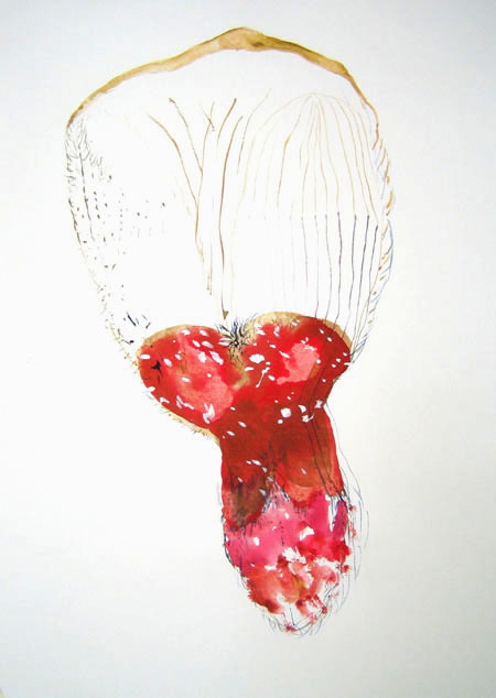 amanita-verkehrt-kopie.jpg