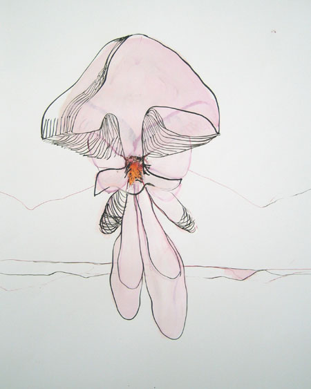 pinkpilz.jpg