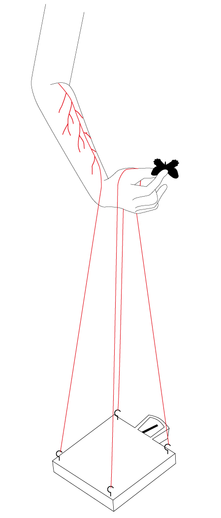 256.jpg