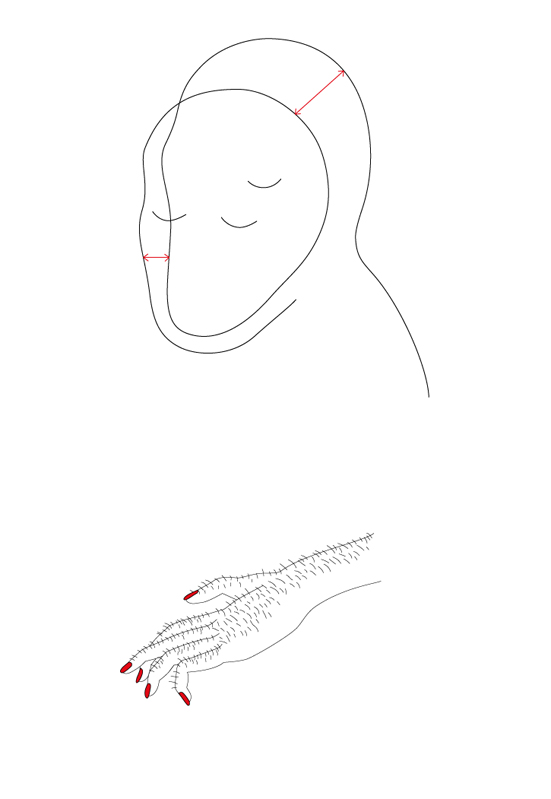 269.jpg