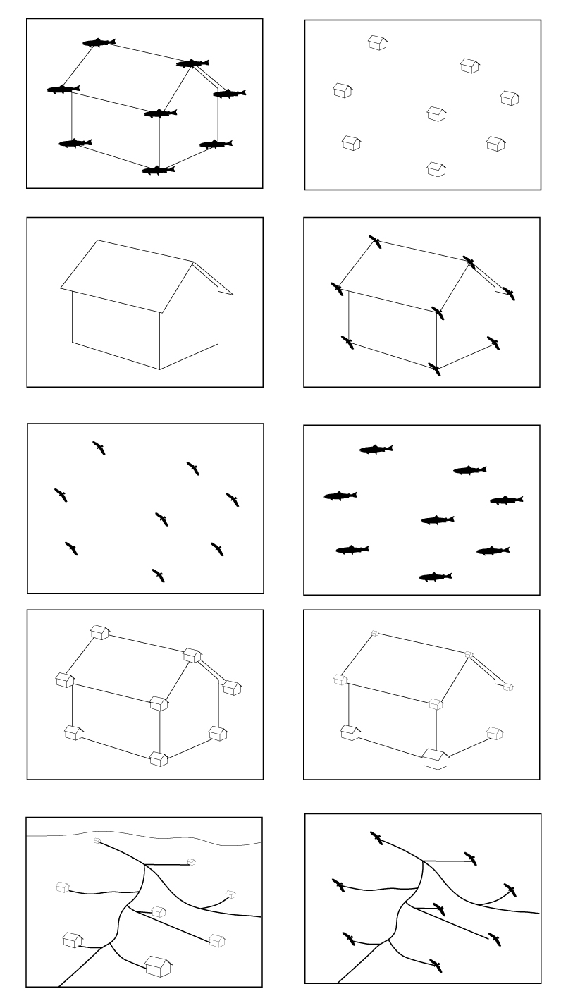 284.jpg