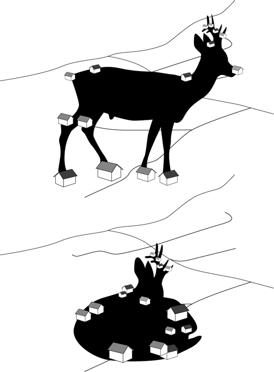 291.jpg