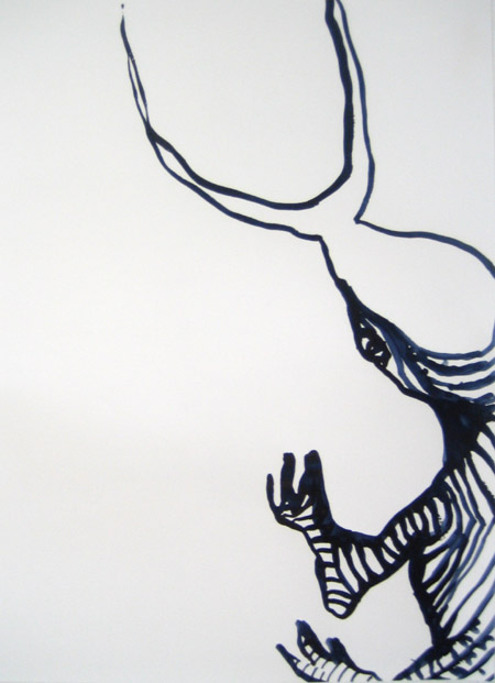 zebra-bug.jpg