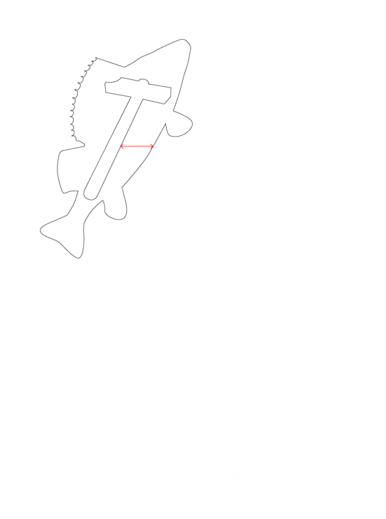 2981.jpg