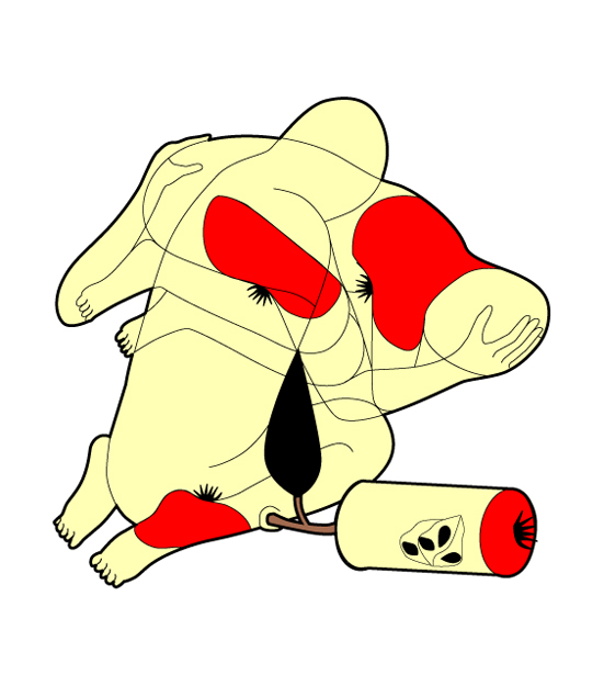 317.jpg