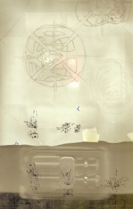 _FIG:bl6