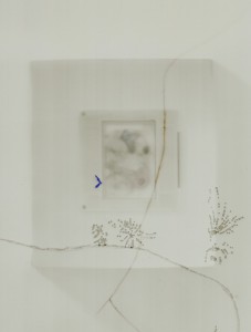 _FIG:bl7